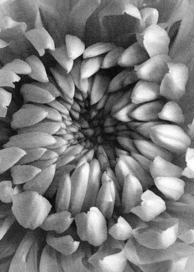 © Edward Nurton - Image from the I once saw a cloud dissolving photography project