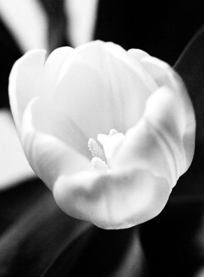 © Edward Nurton - Image from the I once saw a cloud dissolving photography project