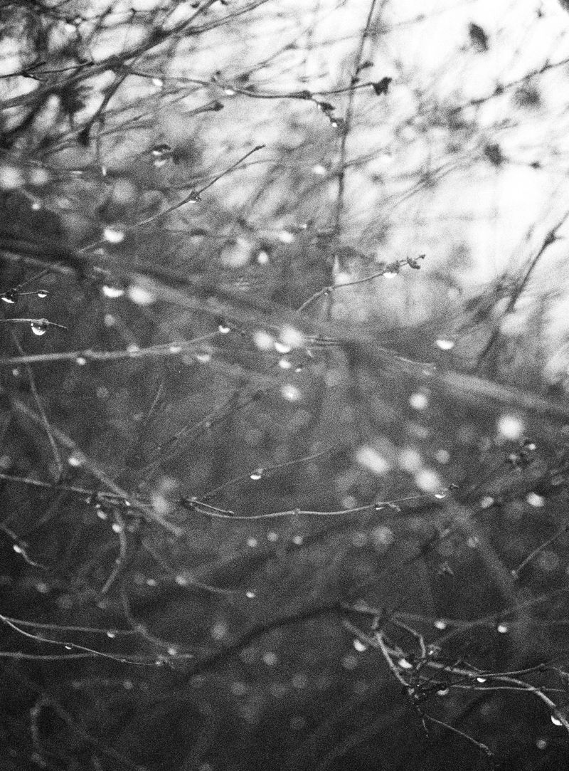 © Edward Nurton - Image from the I once saw a cloud dissolving photography project