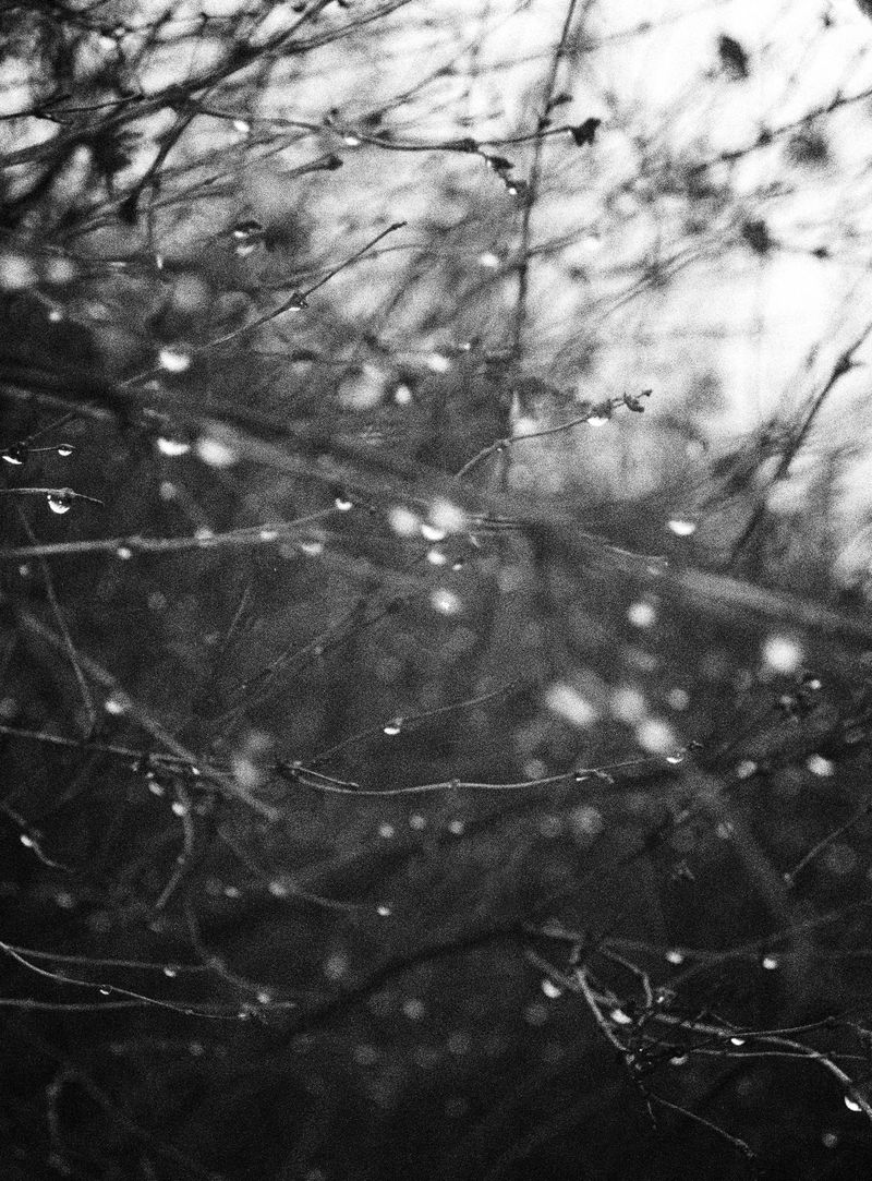 © Edward Nurton - Image from the I once saw a cloud dissolving photography project
