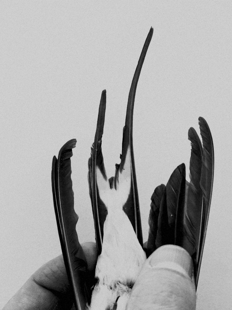 © Edward Nurton - Image from the The Elephant's Foot photography project