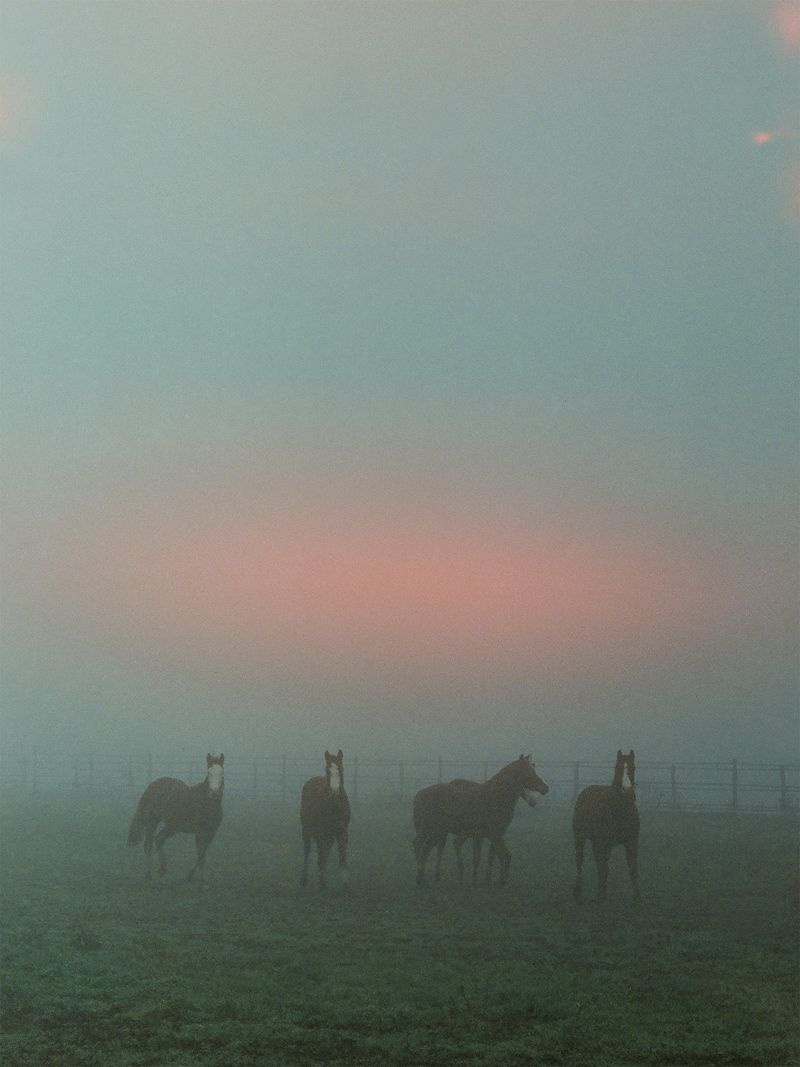 © Edward Nurton - Image from the The Elephant's Foot photography project