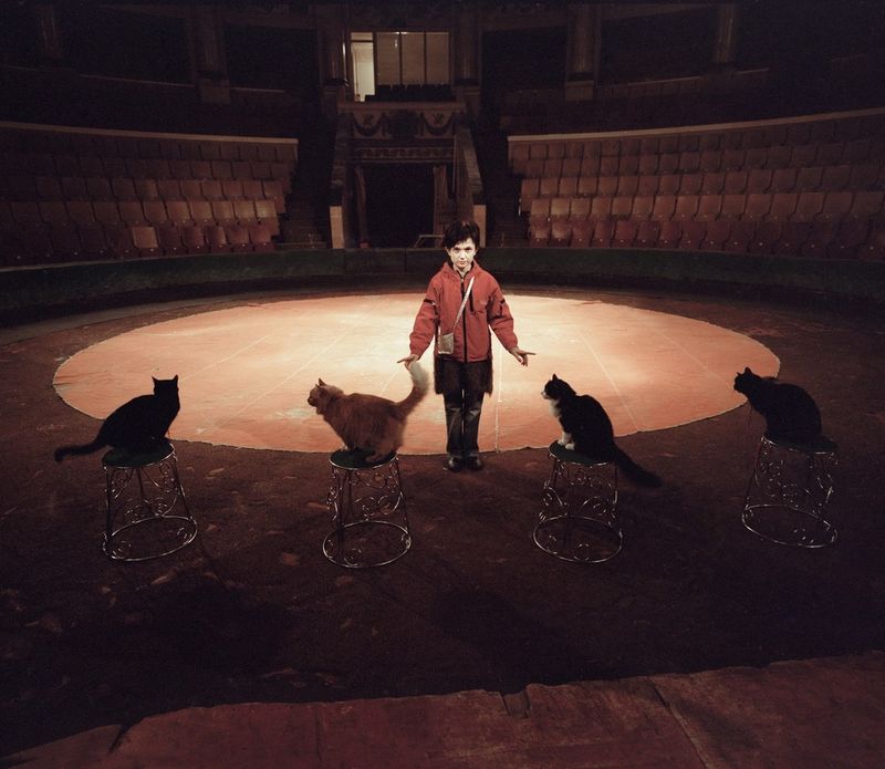 © Tatiana Ilina - Image from the Little stars photography project