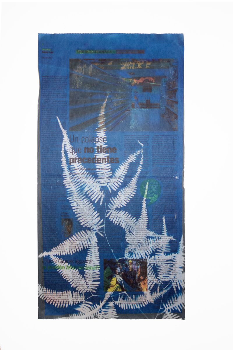 © Elsa Leydier - Image from the Plátanos con platino (Platinum bananas) photography project