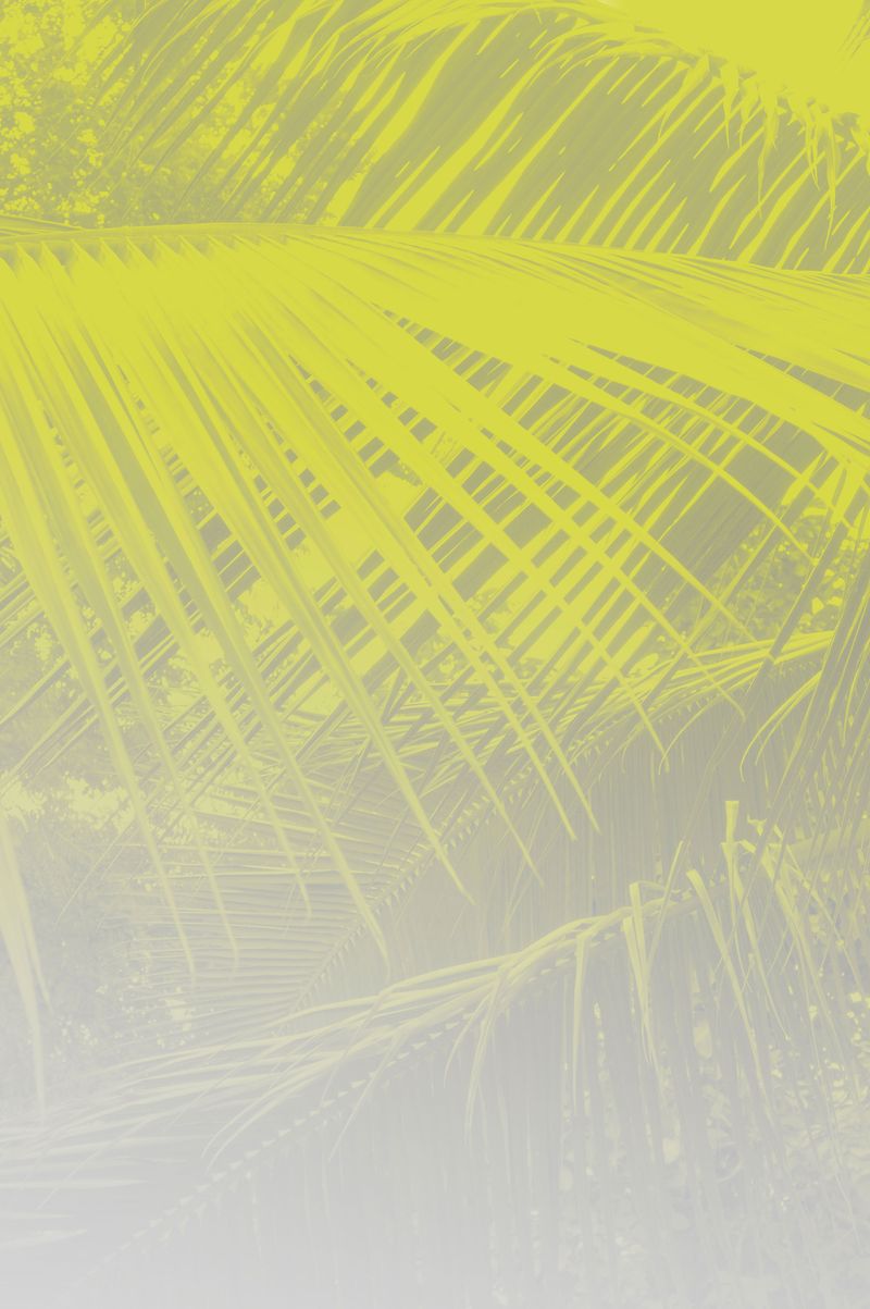 © Elsa Leydier - Image from the Plátanos con platino (Platinum bananas) photography project