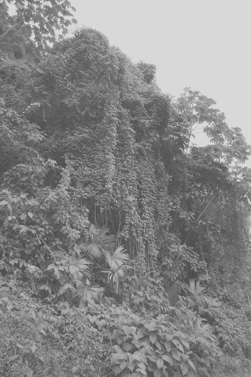 © Elsa Leydier - Image from the Plátanos con platino (Platinum bananas) photography project