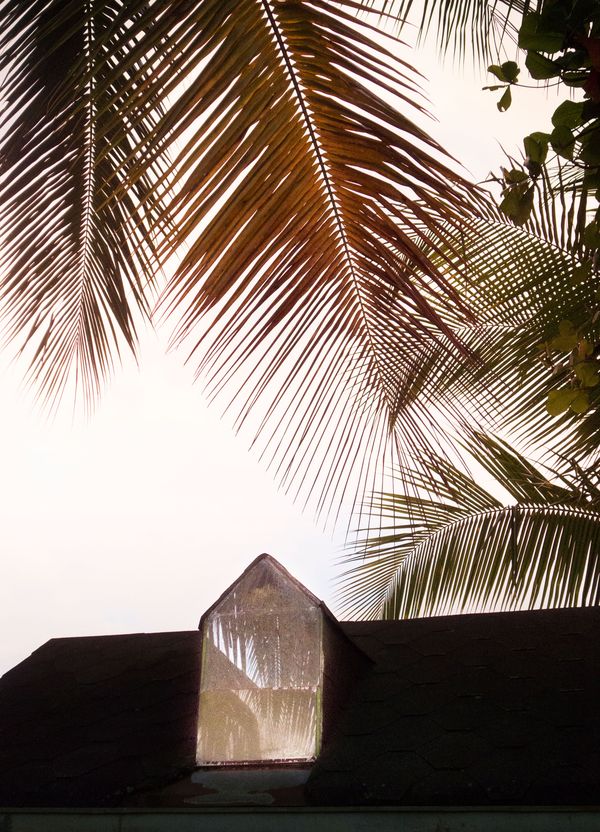 © Elsa Leydier - Image from the Plátanos con platino (Platinum bananas) photography project