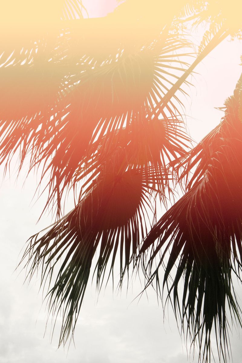 © Elsa Leydier - Image from the Plátanos con platino (Platinum bananas) photography project