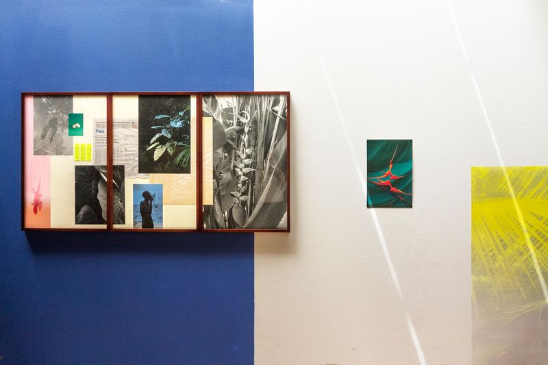 © Elsa Leydier - Image from the Plátanos con platino (Platinum bananas) photography project