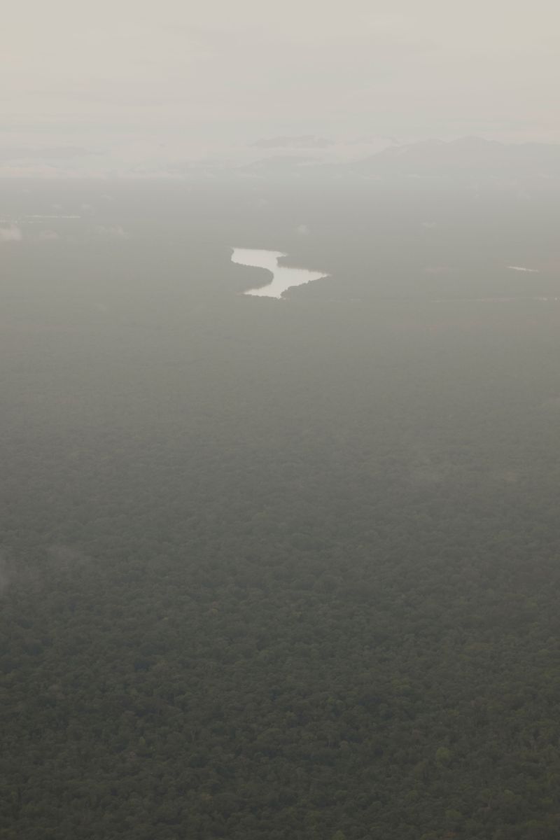 © Elsa Leydier - Image from the Plátanos con platino (Platinum bananas) photography project