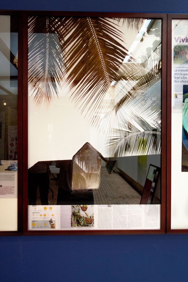 © Elsa Leydier - Image from the Plátanos con platino (Platinum bananas) photography project