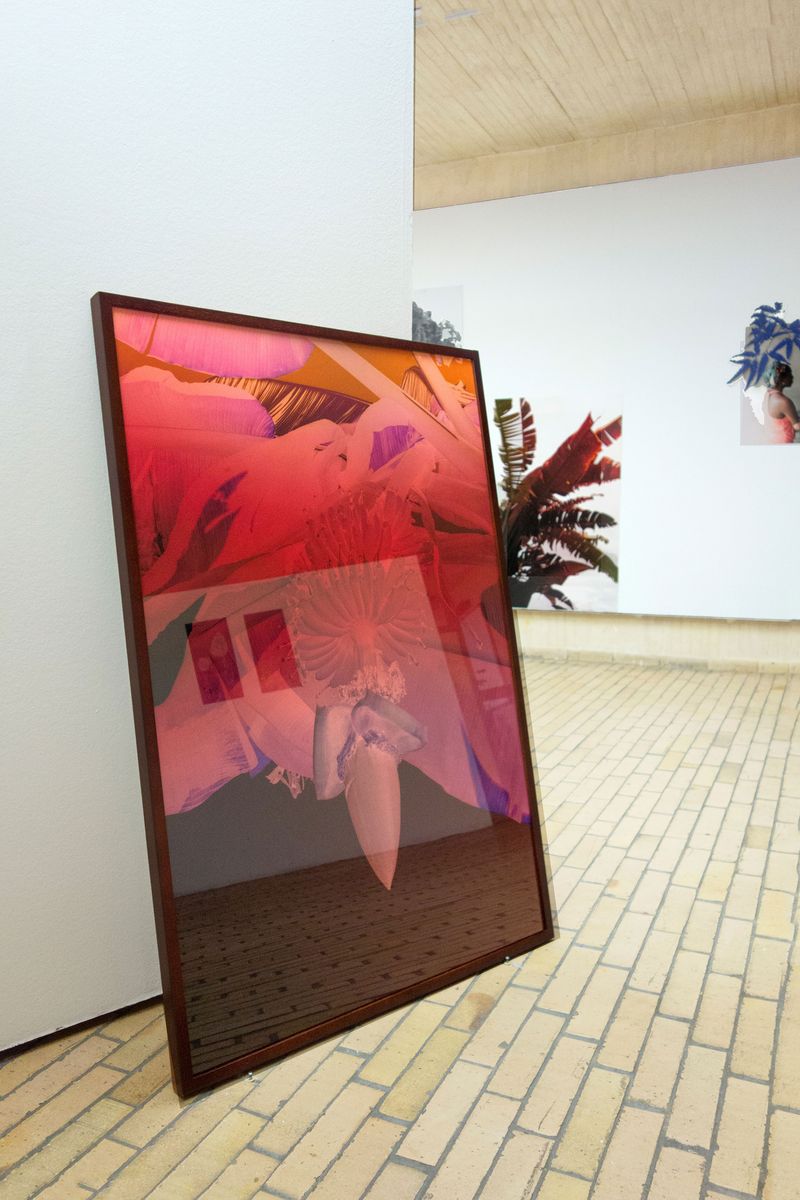 © Elsa Leydier - Image from the Plátanos con platino (Platinum bananas) photography project