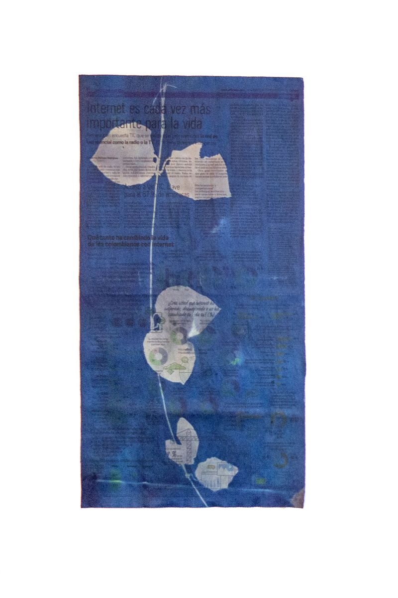 © Elsa Leydier - Image from the Plátanos con platino (Platinum bananas) photography project