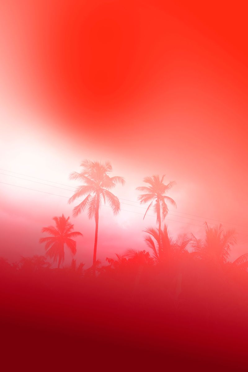 © Elsa Leydier - Image from the Plátanos con platino (Platinum bananas) photography project