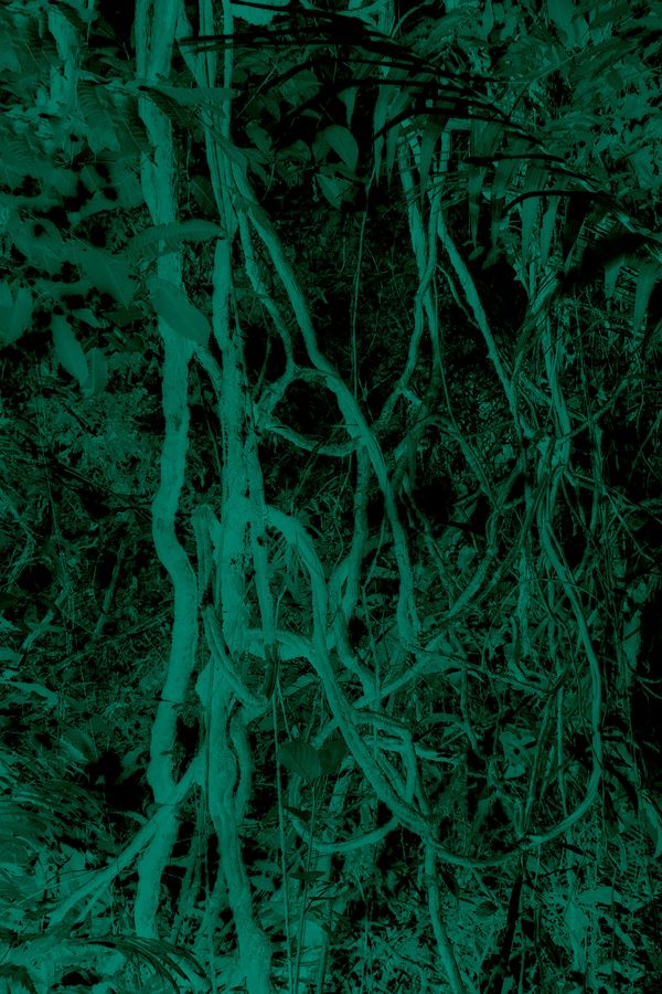 © Elsa Leydier - Image from the Plátanos con platino (Platinum bananas) photography project