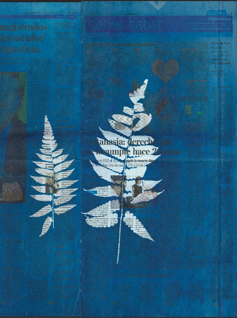 © Elsa Leydier - Image from the Plátanos con platino (Platinum bananas) photography project