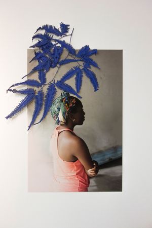 Plátanos con platino (Platinum bananas)