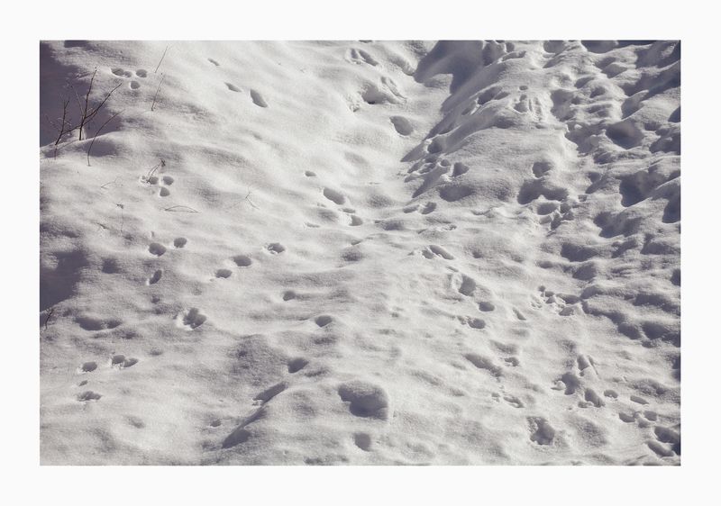 © Antonio Sansica - Image from the Partisans: There was no time for fear photography project