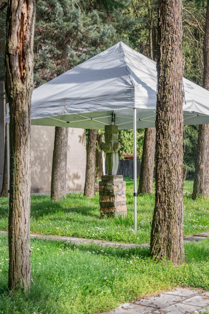 © Alessandro Galli - Image from the Mutaforma photography project