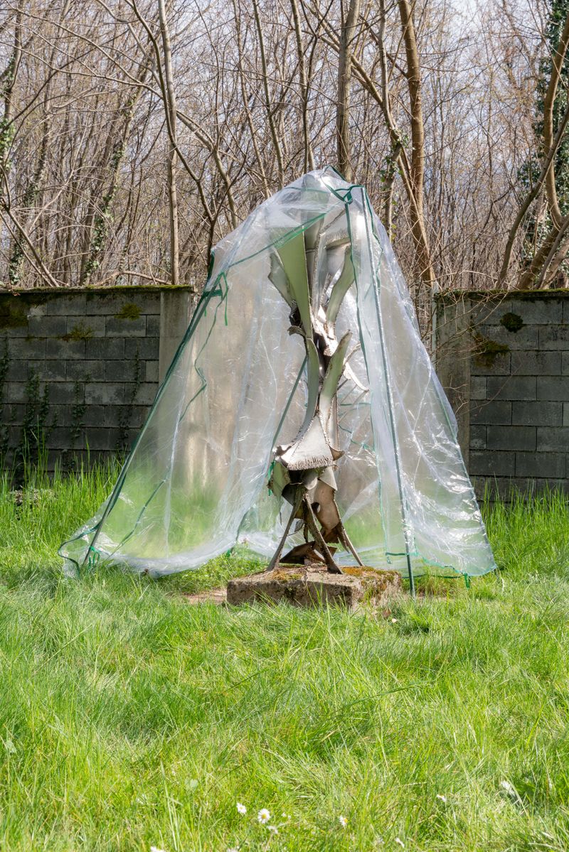 © Alessandro Galli - Image from the Mutaforma photography project