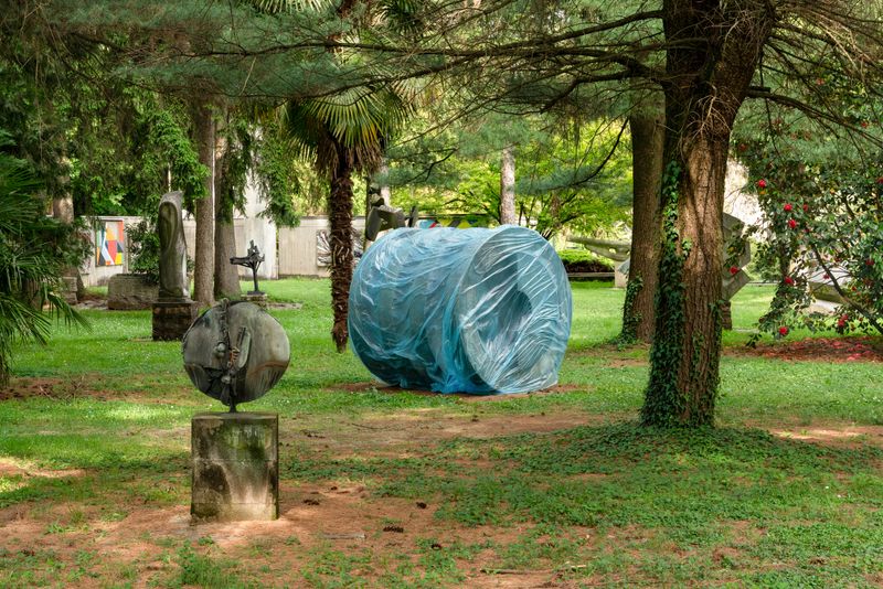 © Alessandro Galli - Image from the Mutaforma photography project