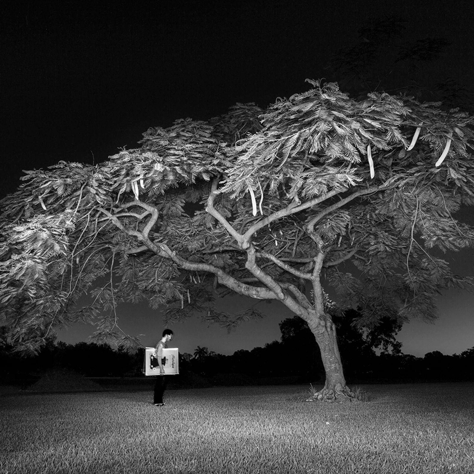 © Andres De Varona