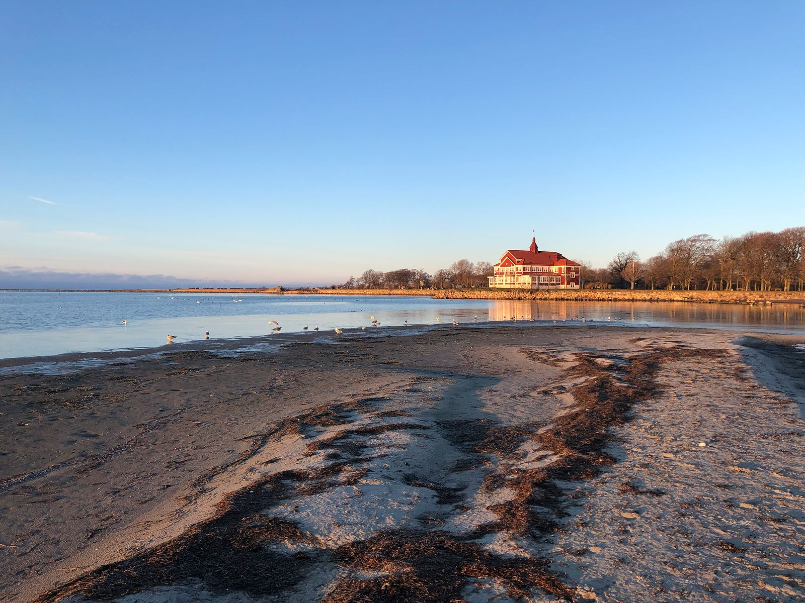 A seaside view close to Landskrona Foto Residency office © Johann Husser