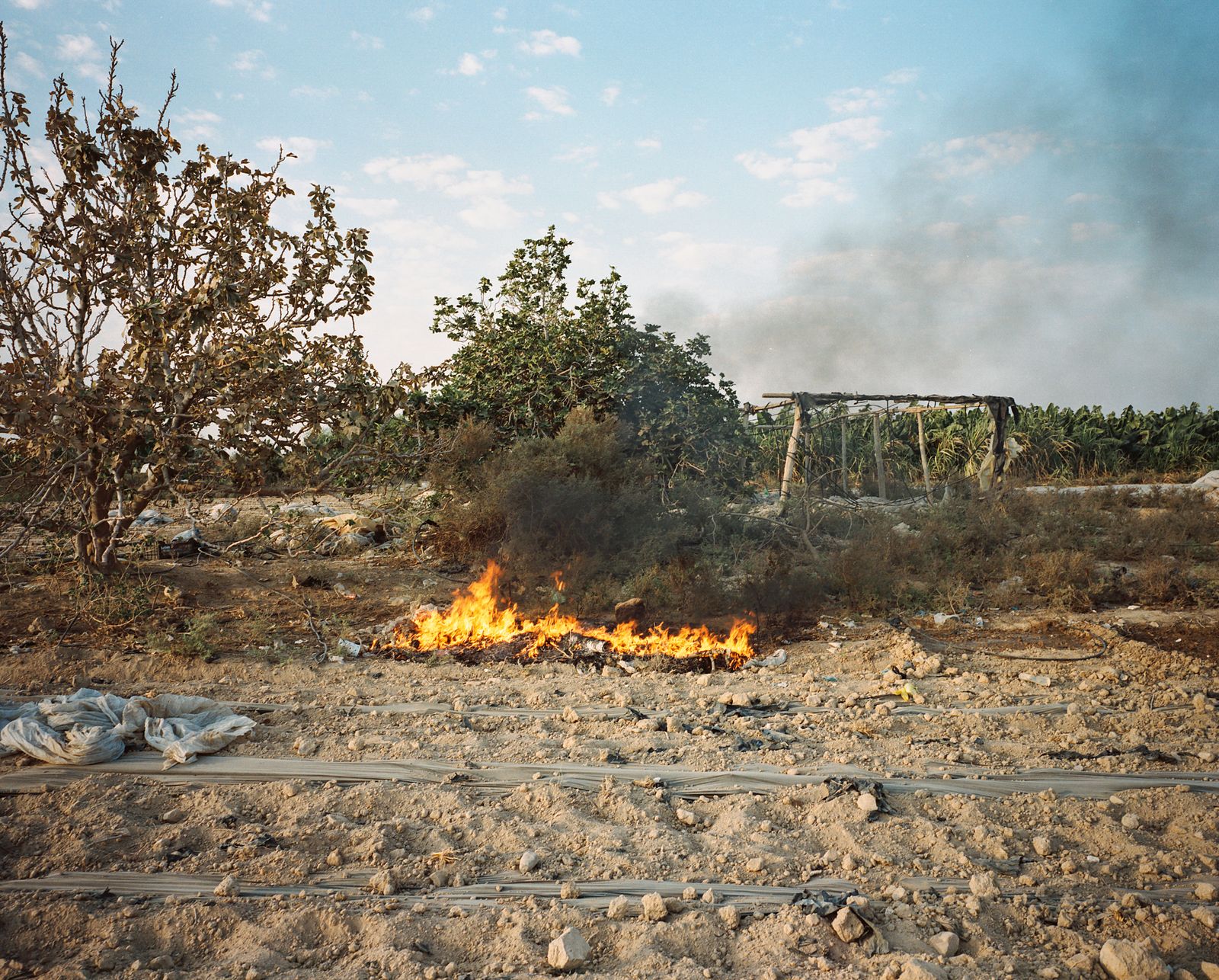 © Nadia Bseiso, from the series, Infertile Crescent. Fire burns in a farm in the Jordan Vally, Jordan, 2017.