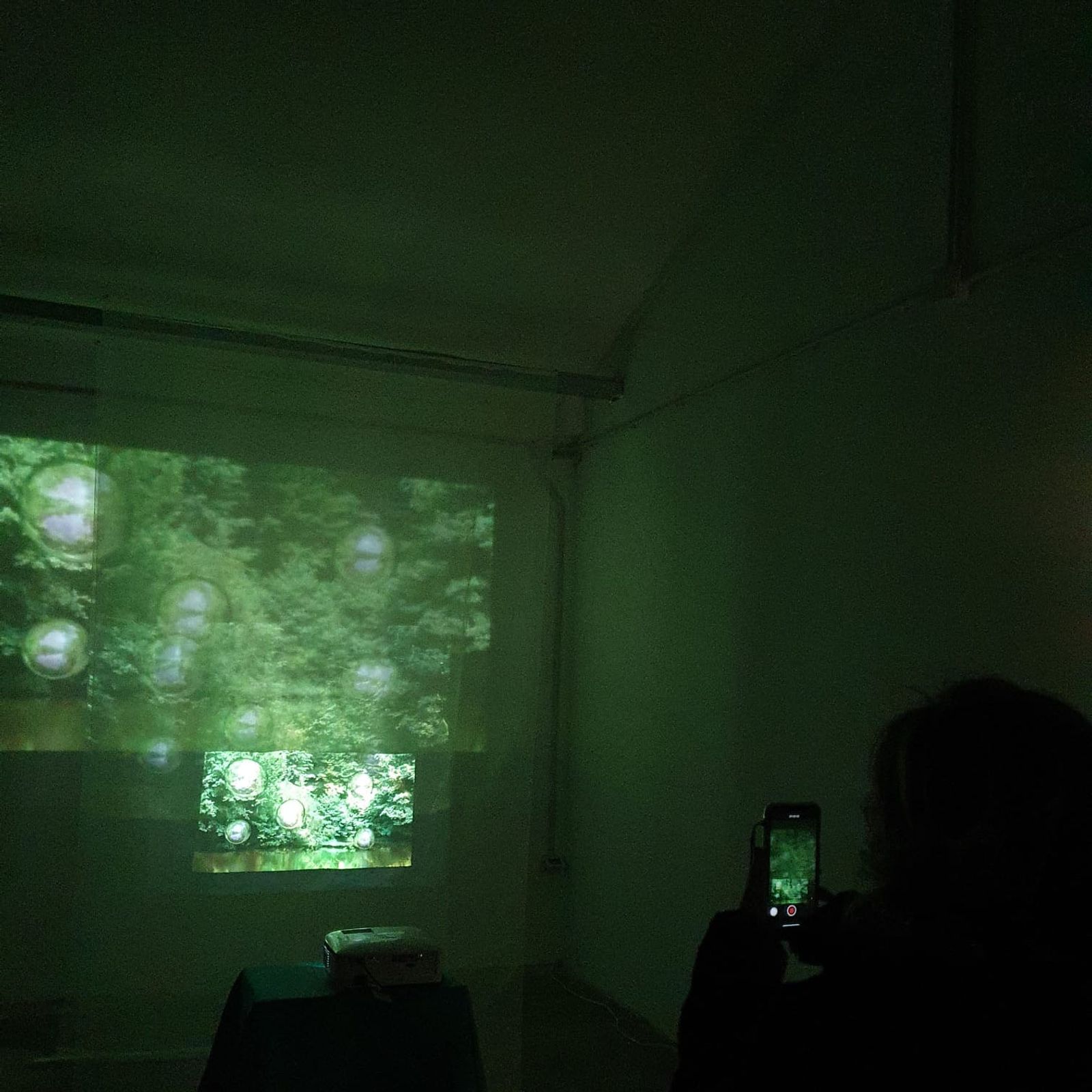 View of the video installation at PhMuseum Lab © PhMuseum