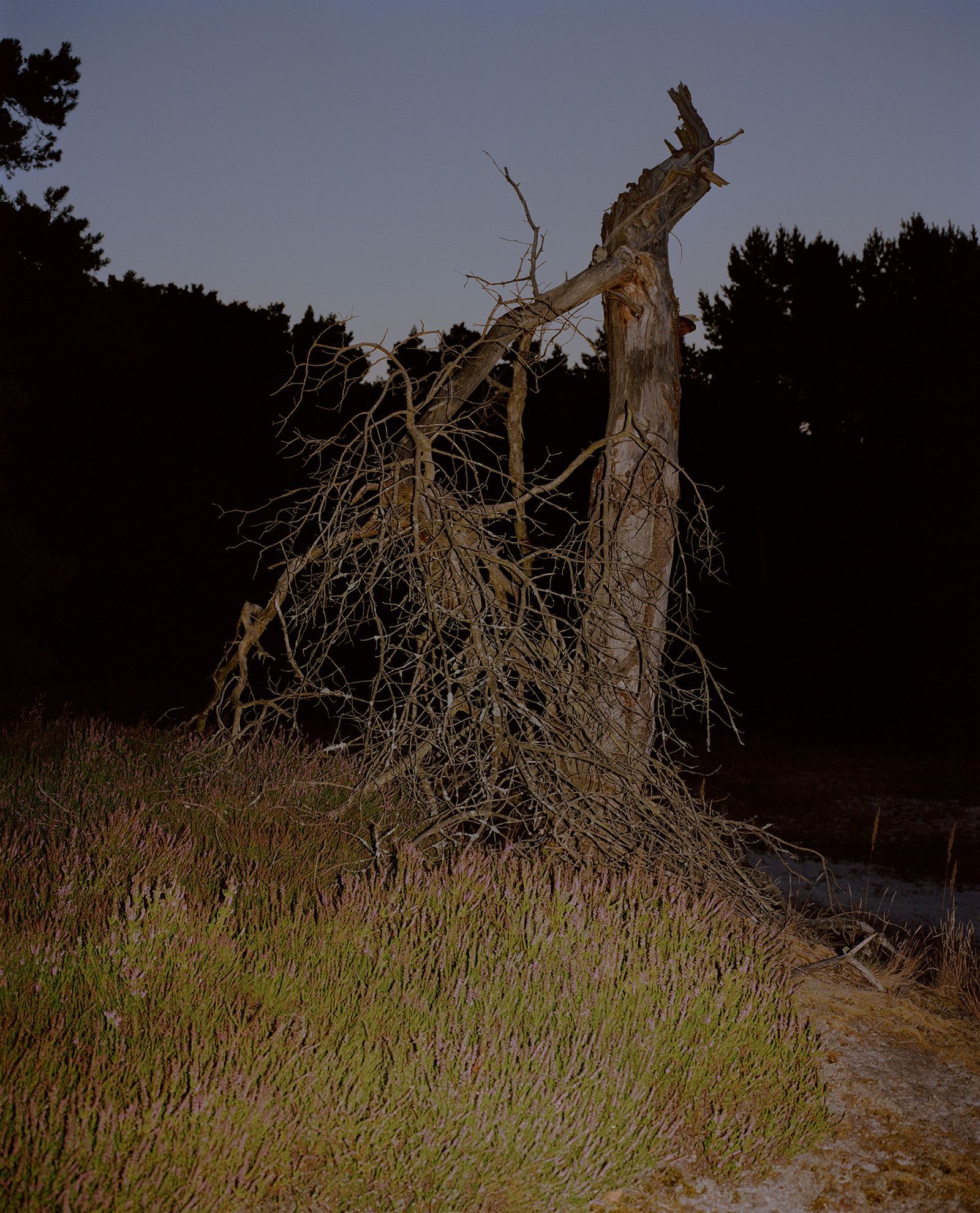 Steven Natusch Confronts Nostalgia and Uncertainty by Photographing the ...