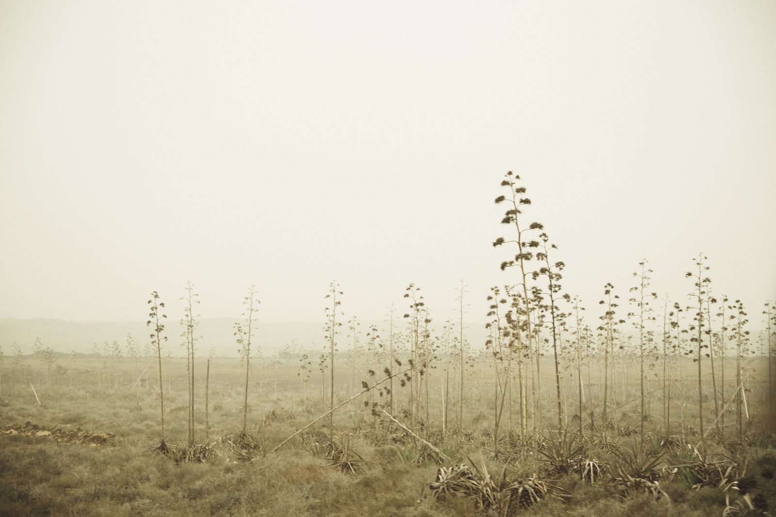 © Giorgia Dal Molin - Image from the La isla son mujeres dormidas photography project