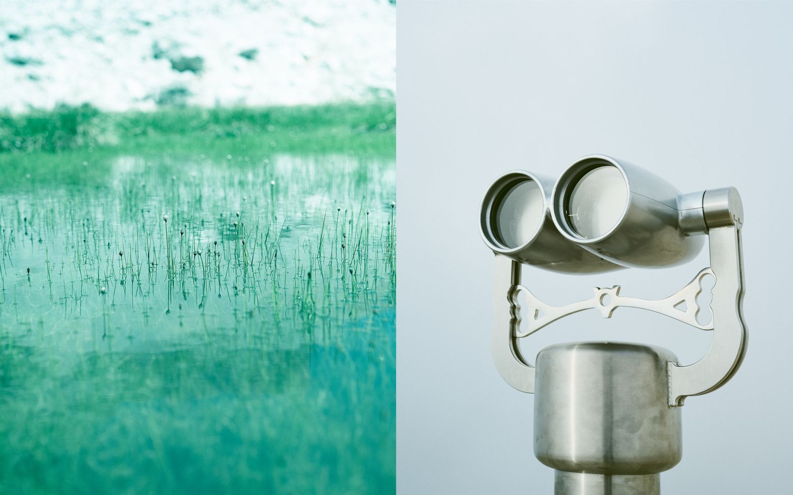 © Giorgia Dal Molin - sn: typical small flowers of alpine lakes_dx: binoculars from the summit