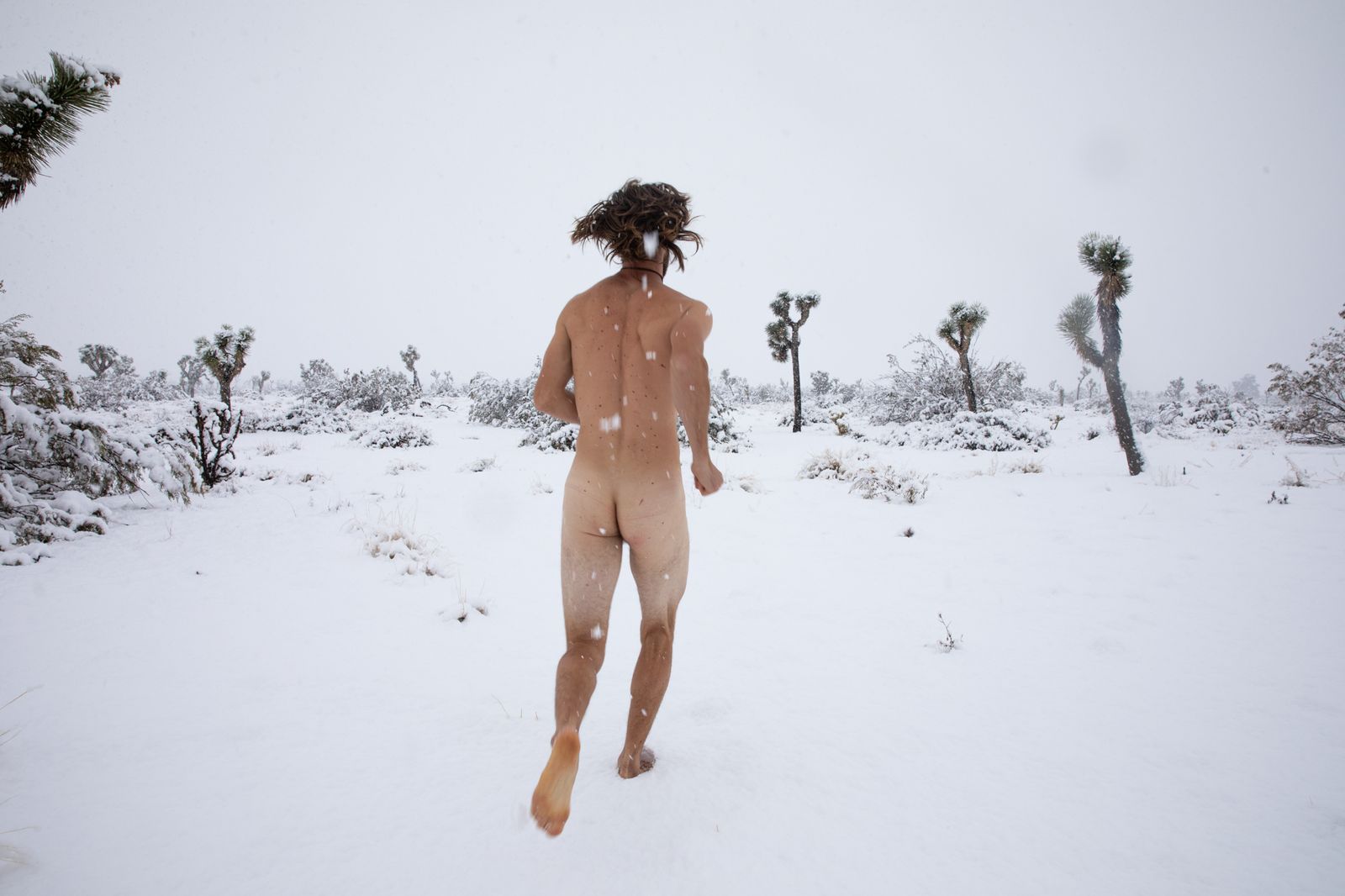 © Sofia Aldinio - Running in the snow, Colin Boyd.