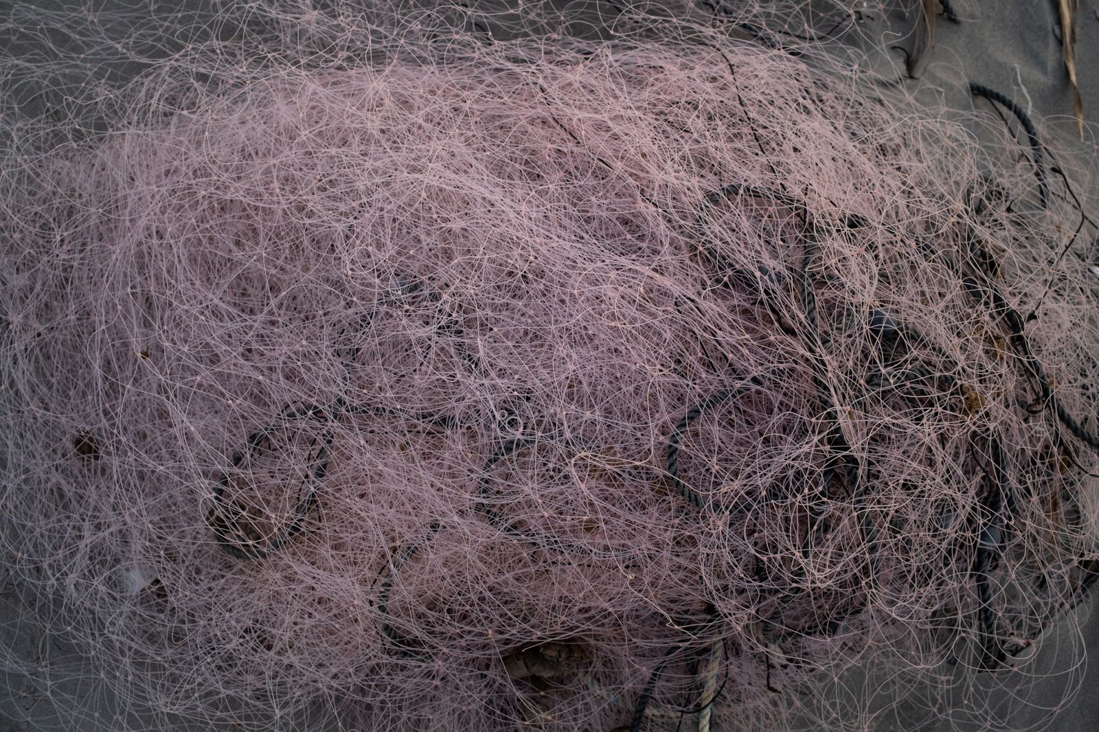 © Sofia Aldinio - An empty fish net lays on the beach. January 2021.