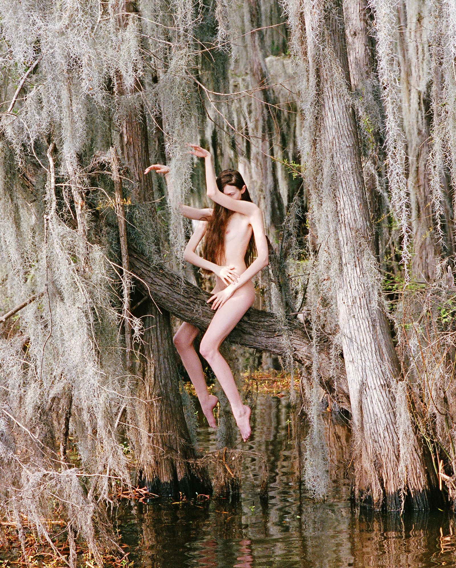 © Synchrodogs - Image from the Nature Twins photography project