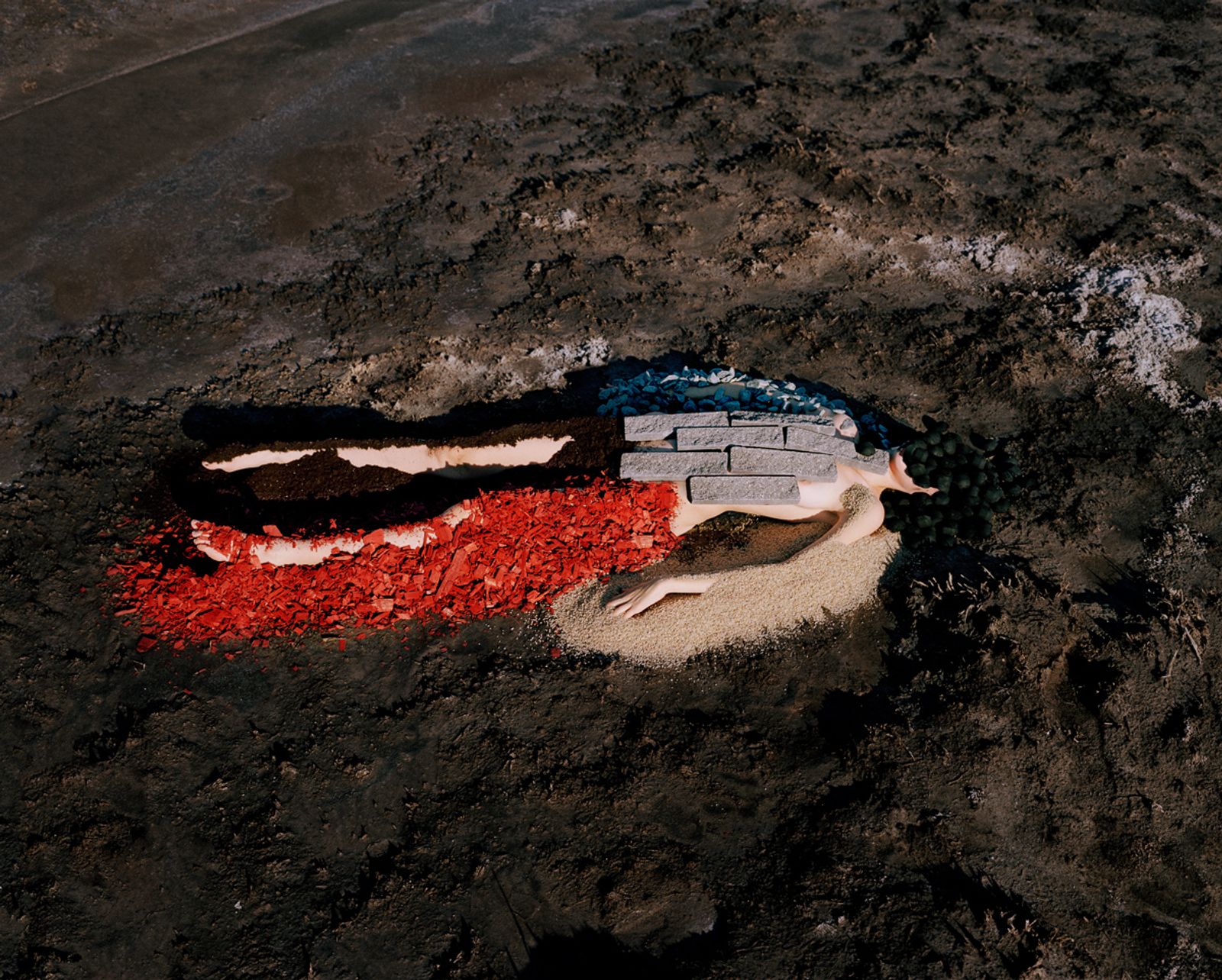 © Synchrodogs - #12 from Slightly Altered project