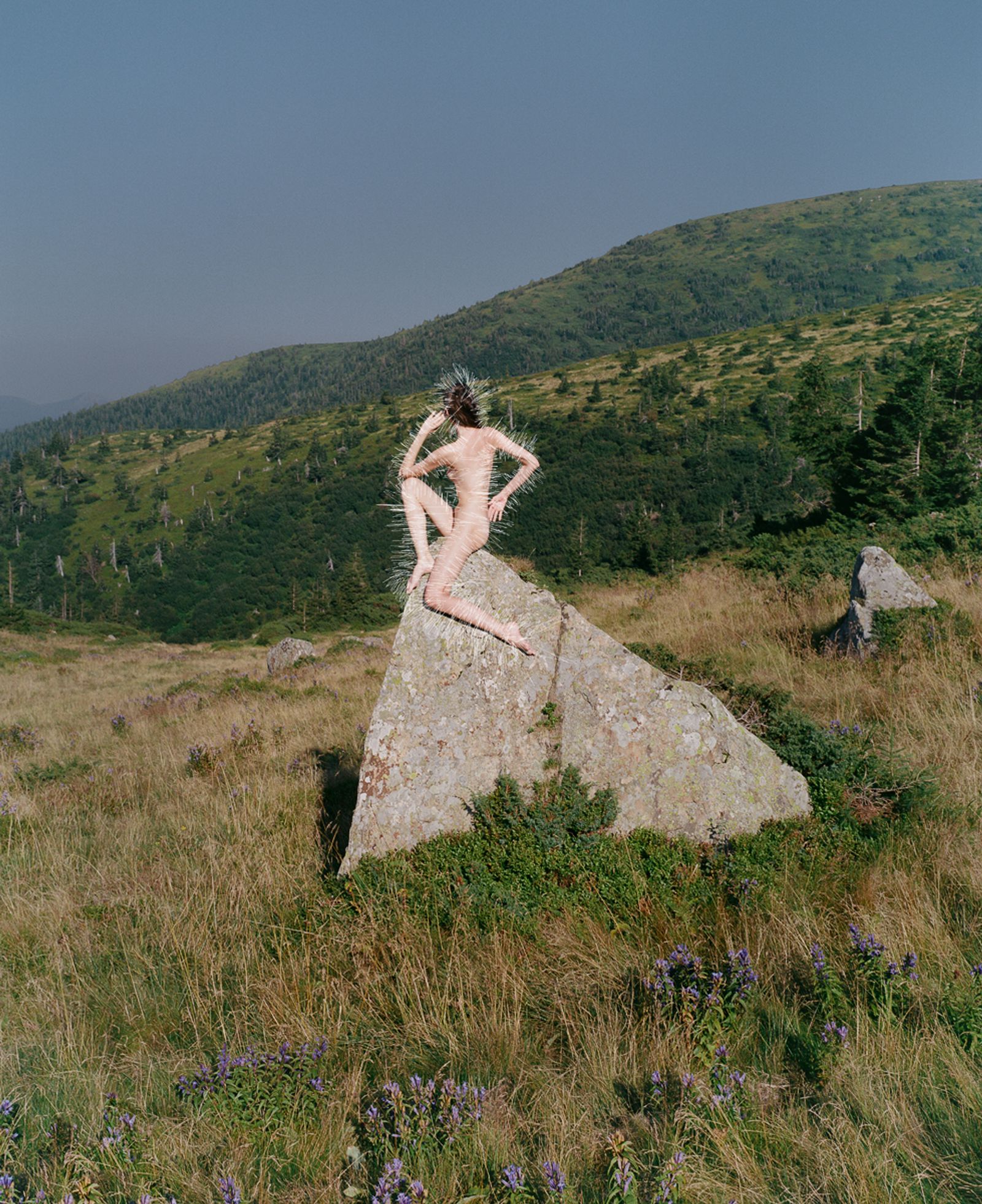 © Synchrodogs - #10 from Slightly Altered project