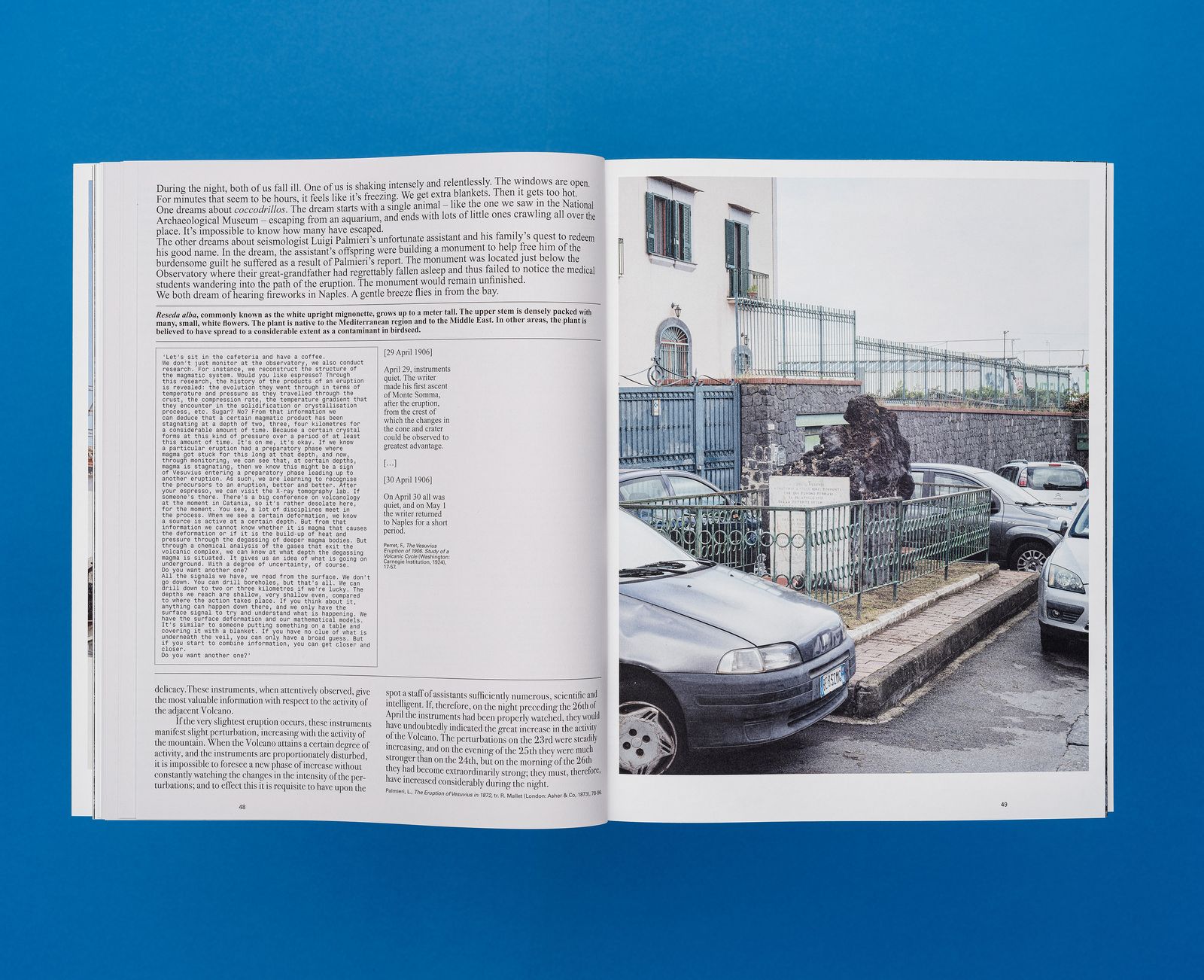 © De Cleene De Cleene - Amidst the fire, I am not burnt – Surface Reading (Roma Publications, 2024)