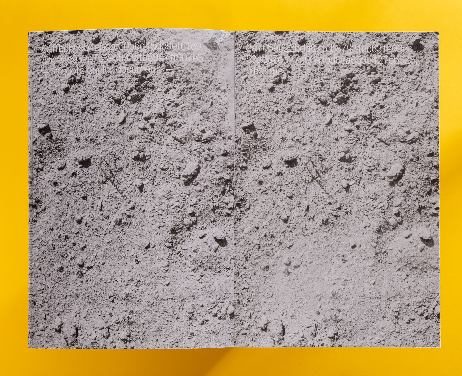 © De Cleene De Cleene - Image from the Capital Compression photography project