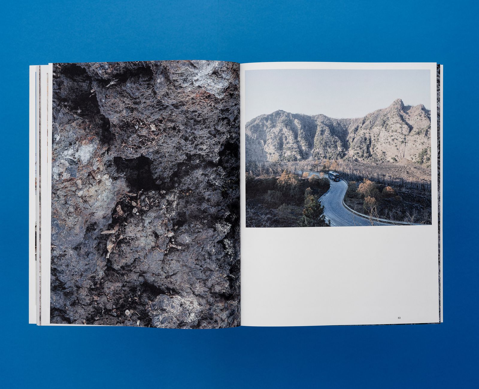 © De Cleene De Cleene - Amidst the fire, I am not burnt – Surface Reading (Roma Publications, 2024)