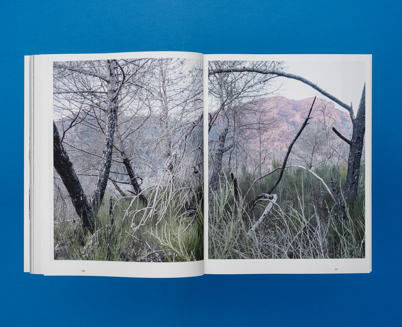 © De Cleene De Cleene - Amidst the fire, I am not burnt – Surface Reading (Roma Publications, 2024)