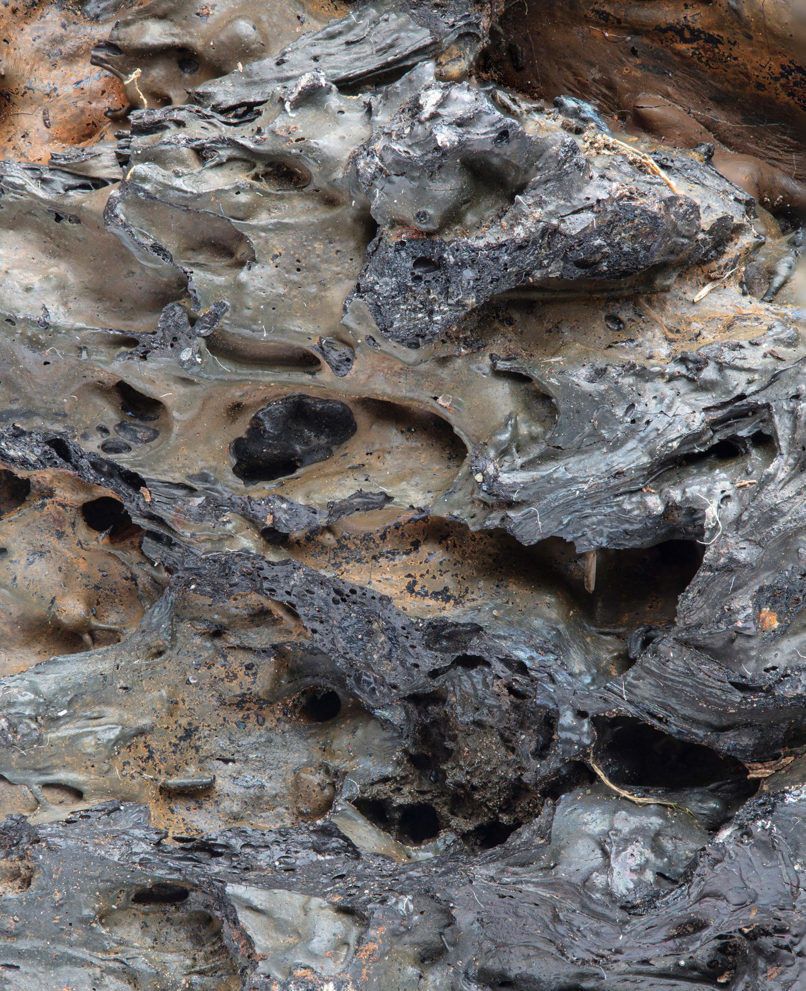 © De Cleene De Cleene - Surface framgent (22 focal planes)
