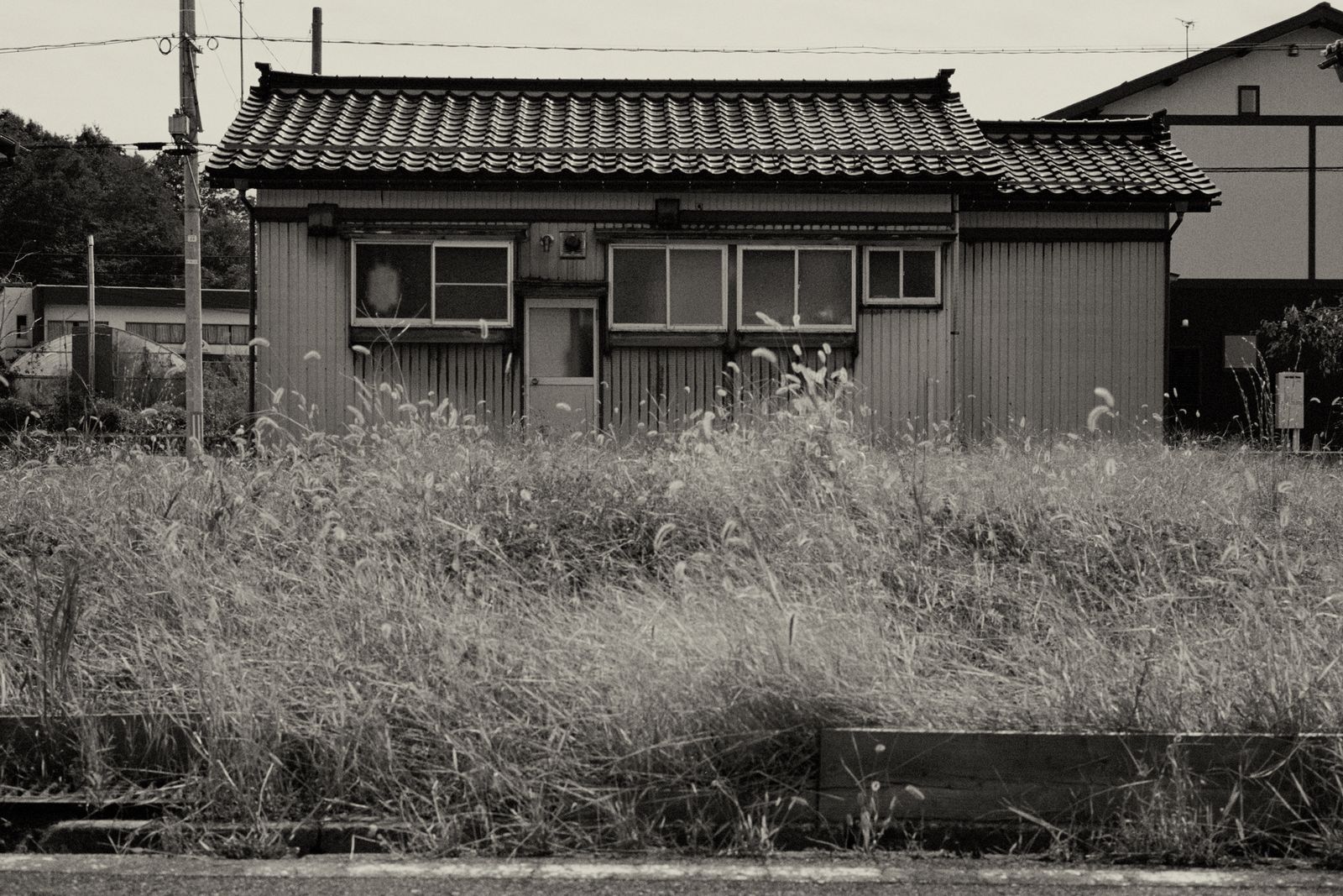 © Sayuri Ichida - Image from the Fumiko photography project