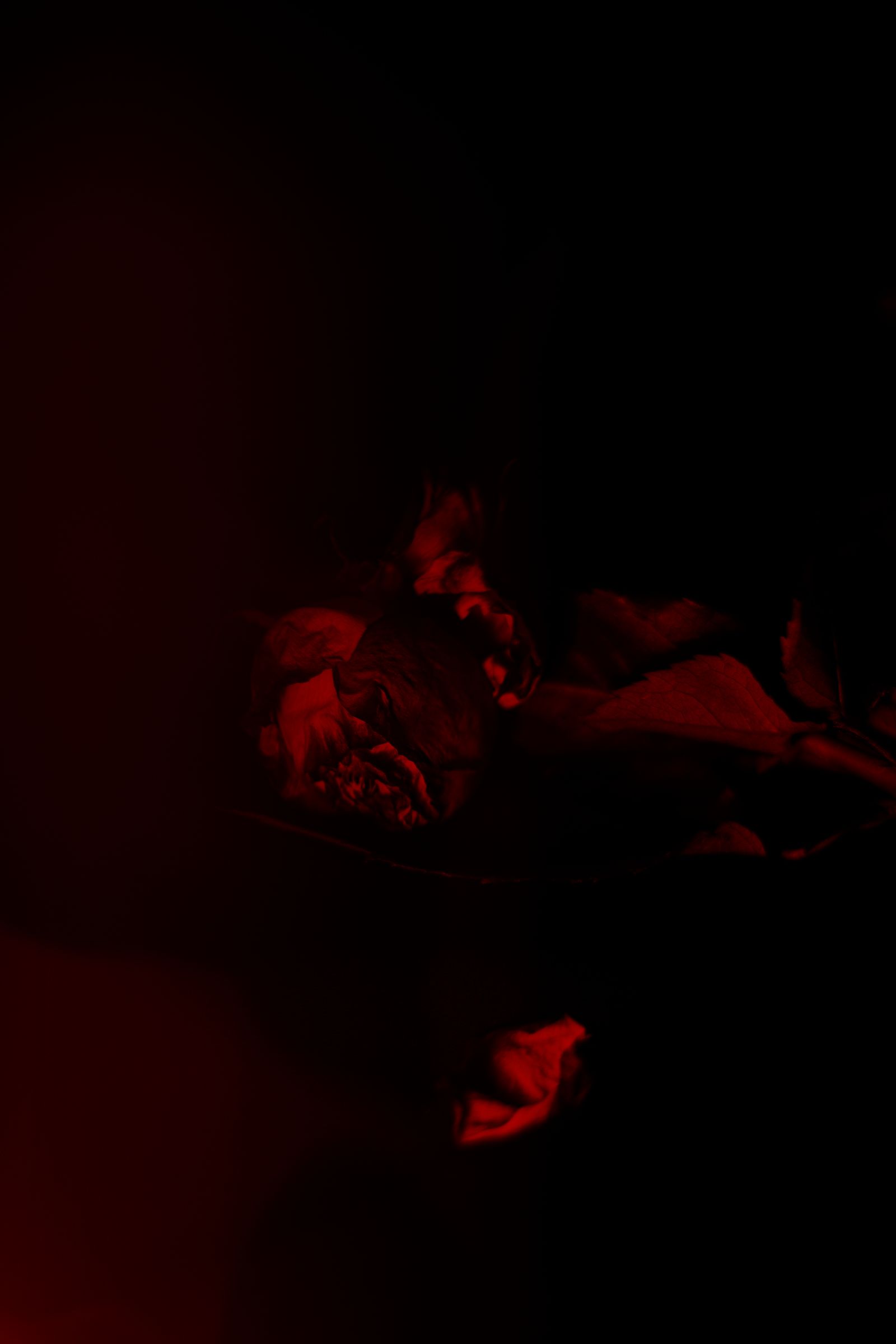 © Anna Lunghini - Image from the MOYA RIDNA photography project