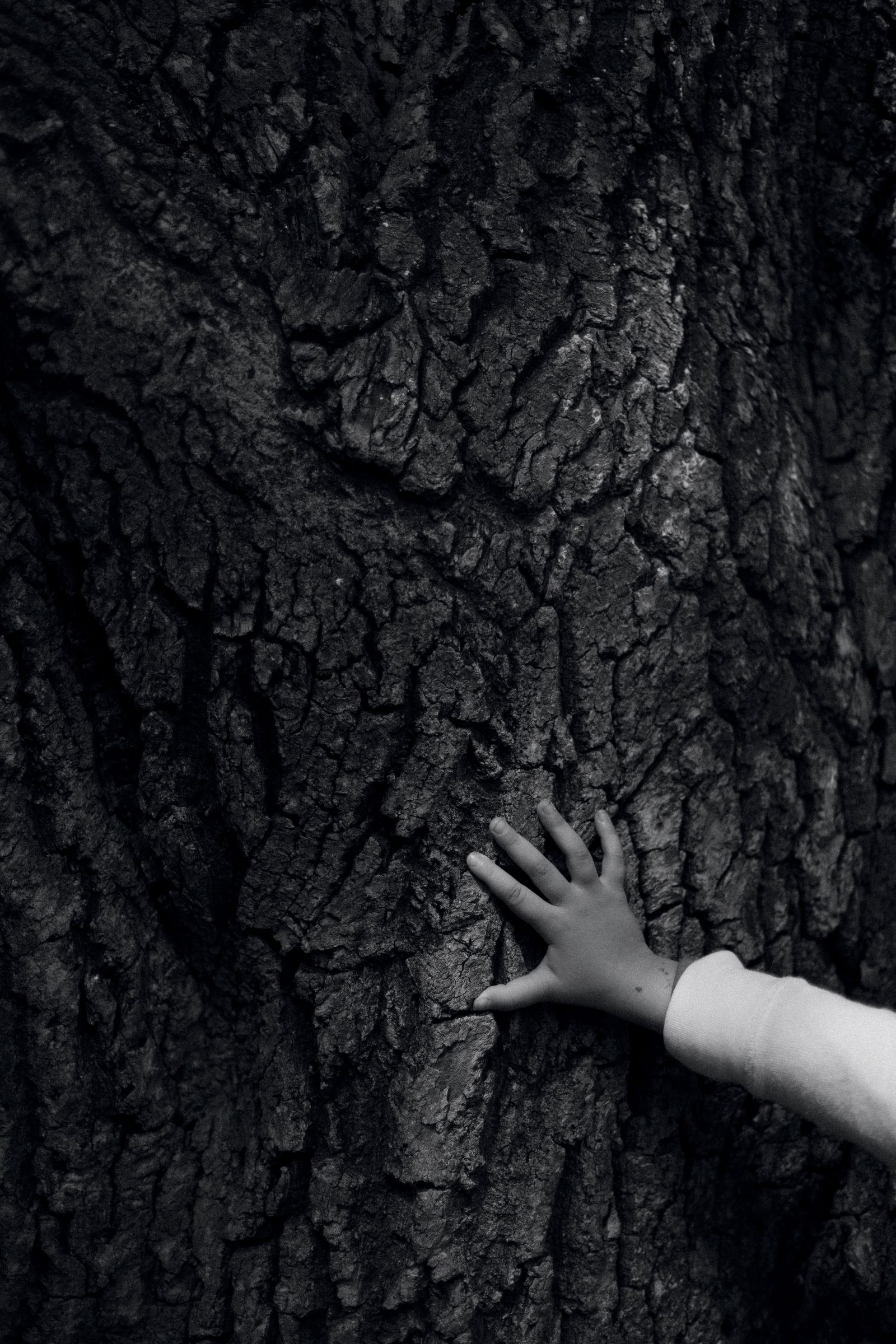 © Anna Lunghini - Image from the MOYA RIDNA photography project