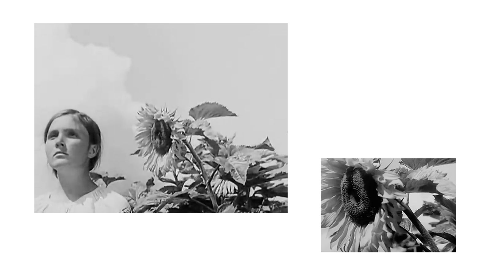 © Anna Lunghini - Image from the MOYA RIDNA photography project