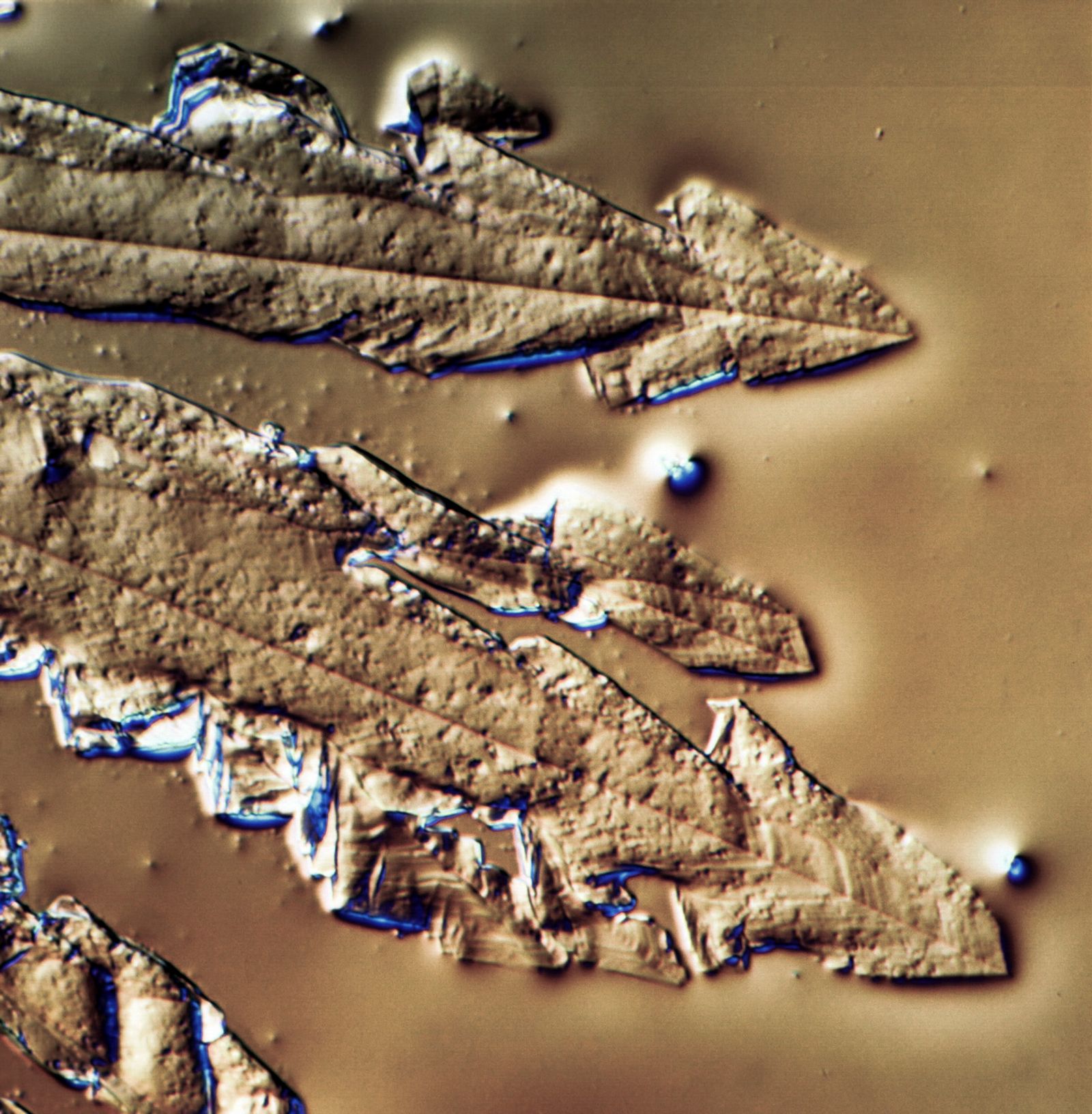 © ROGER GRASAS - Photomicrograph of sugar crystals at 4000x magnification