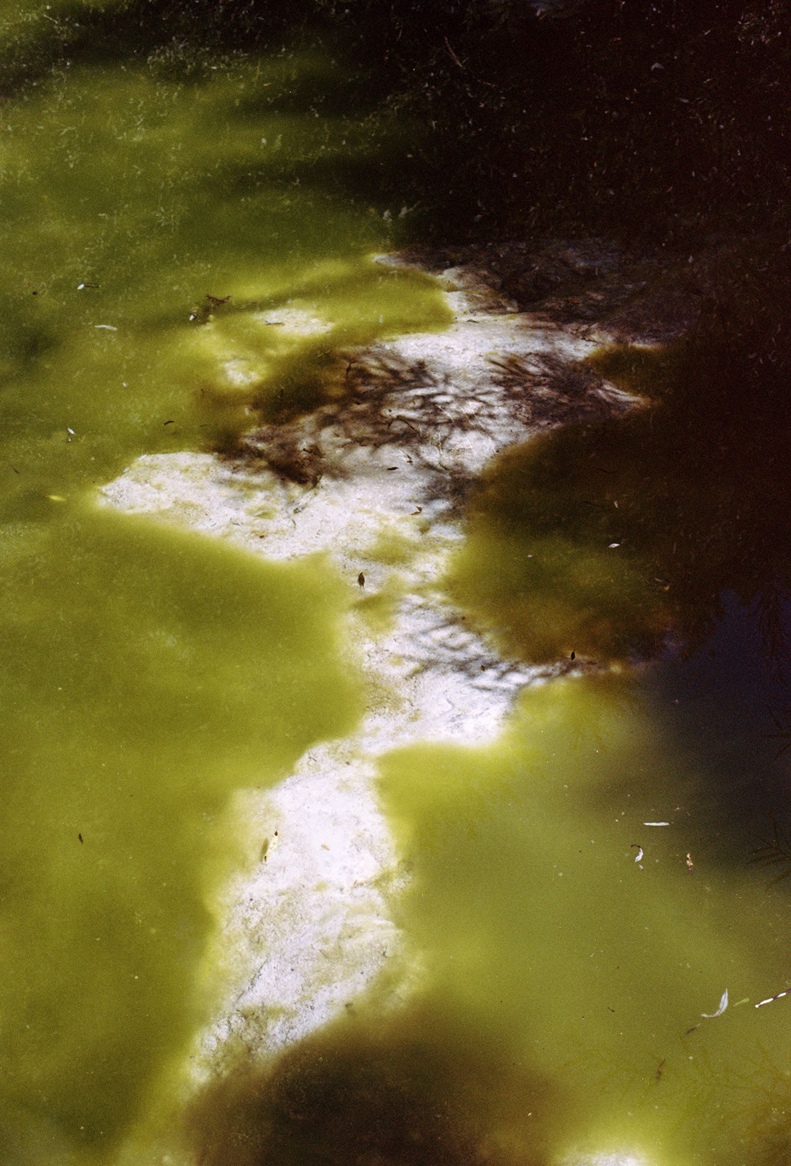 © Alicja Khatchikian - Image from the touchstone photography project