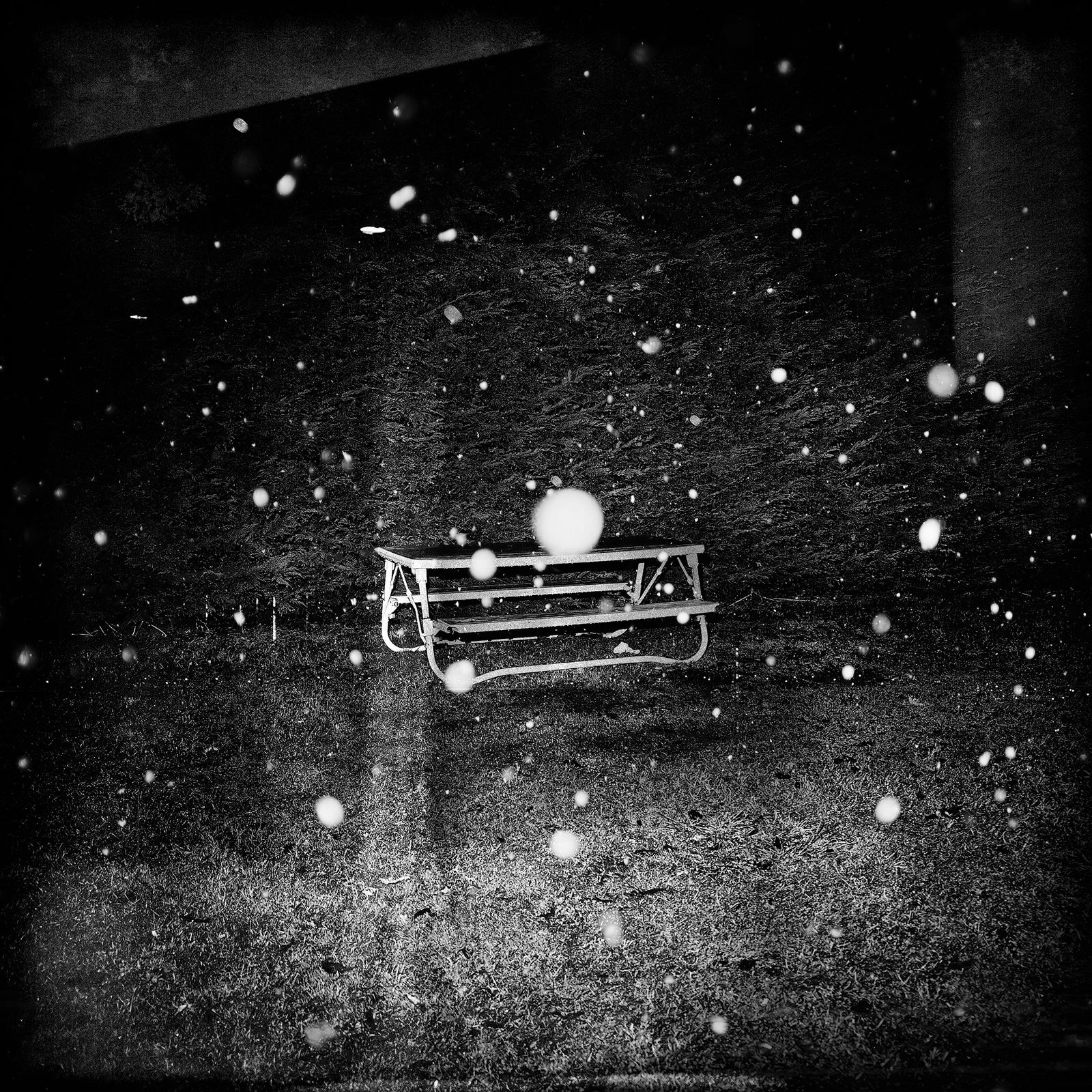 © Tirdad Aghakhani - Fear bench