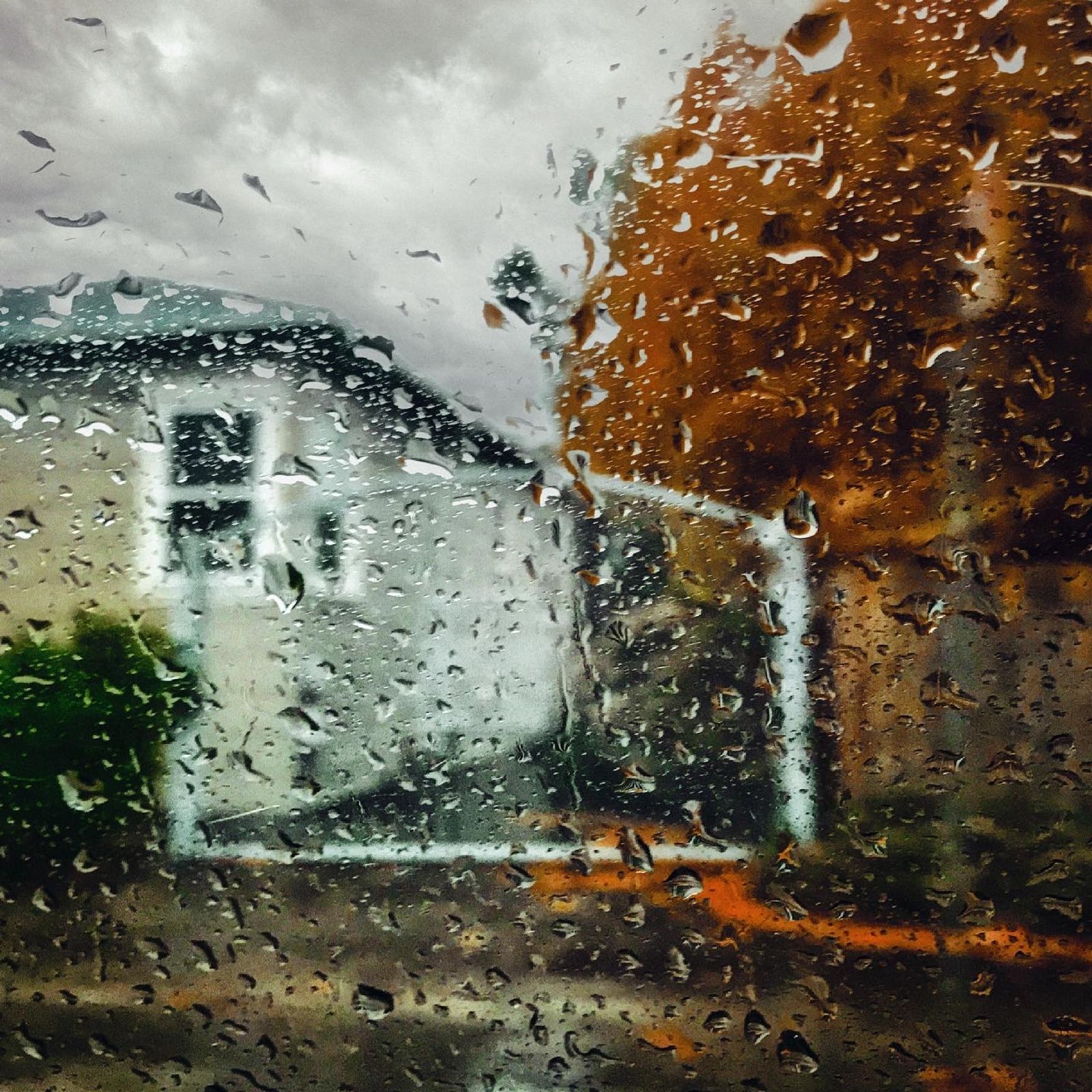 © Tirdad Aghakhani - Image from the Rain photography project